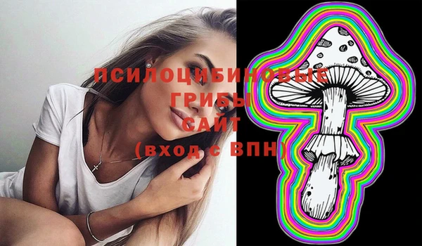 таблы Бронницы