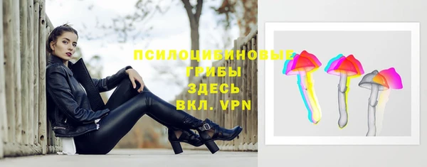 гидропоника Бугульма