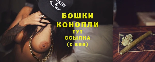 прущие крисы Верхний Тагил